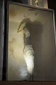 museum gustavianum uppsala 8-2015 8089